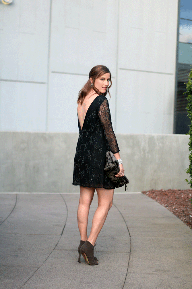 Embroidered Lace Dress