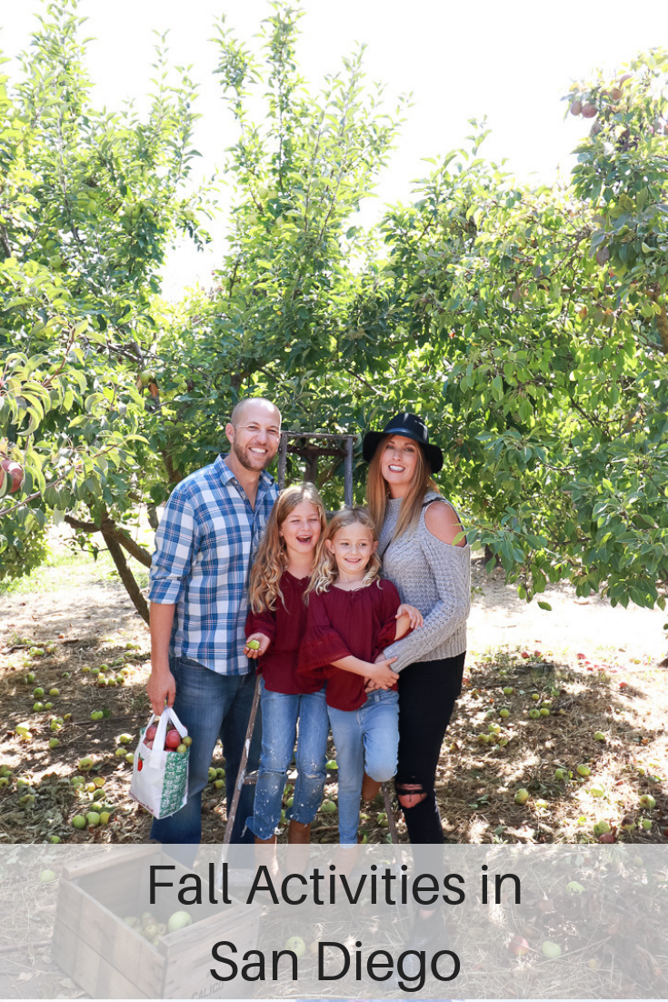 Fall Activities in San Diego