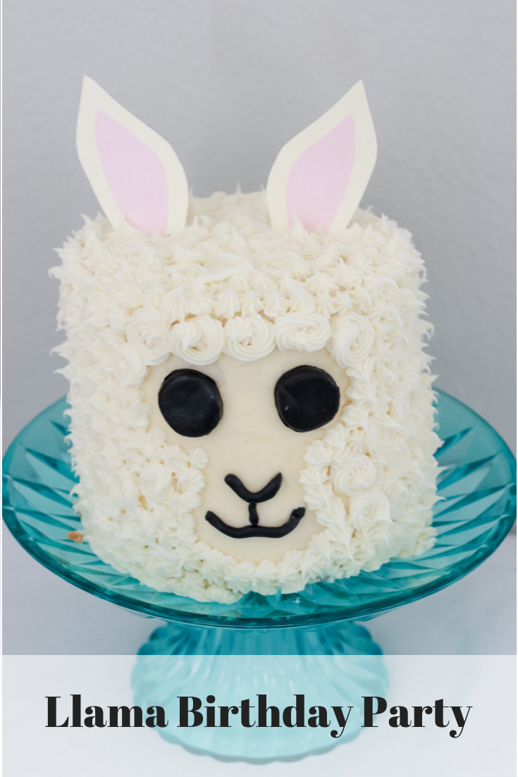 Llama Birthday Party