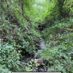 Family Hike To Santa Margarita River Trail featured by popular US family travel blog The Fashionista Momma; small waterfall at Santa Margarita River Trail.