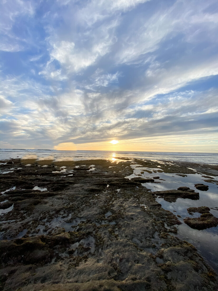 Local Love: 5 Best Things To Do In Orange County with kids this spring