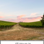 Pacific Globetrotters, budget family travel blog, shares their trip 48 hours in Napa.