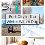 Pacific Globetrotters, budget family travel blog, shares 5 Days in Park City In The Winter With A Dog.
