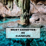 Pacific Globetrotters, budget family travel blog, shares the Best Cenotes In Cancun.