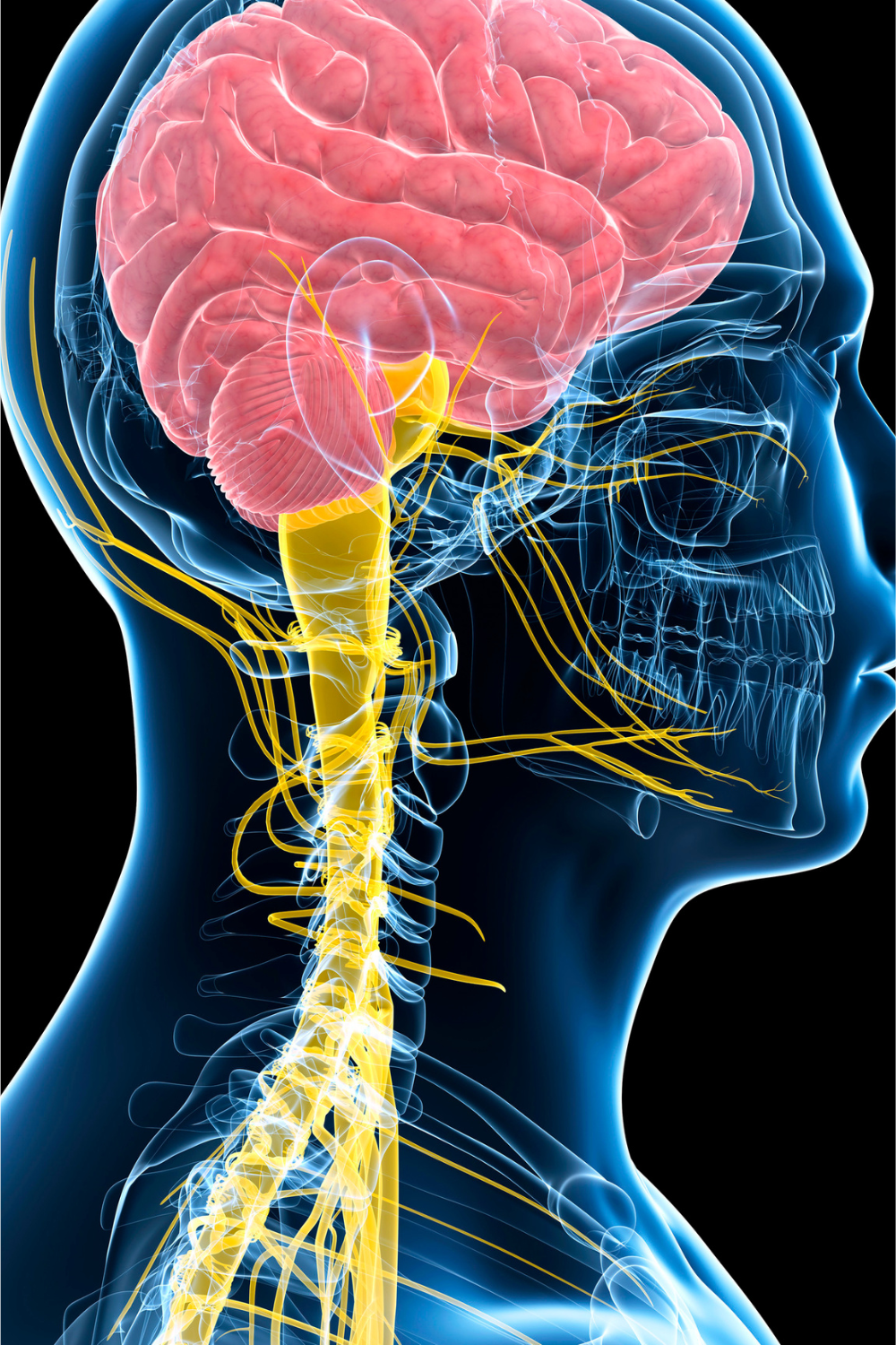 Megan Off The Mat, budget lifestyle blogger shares The Mind-Body Science Behind Yoga For Stress Relief.