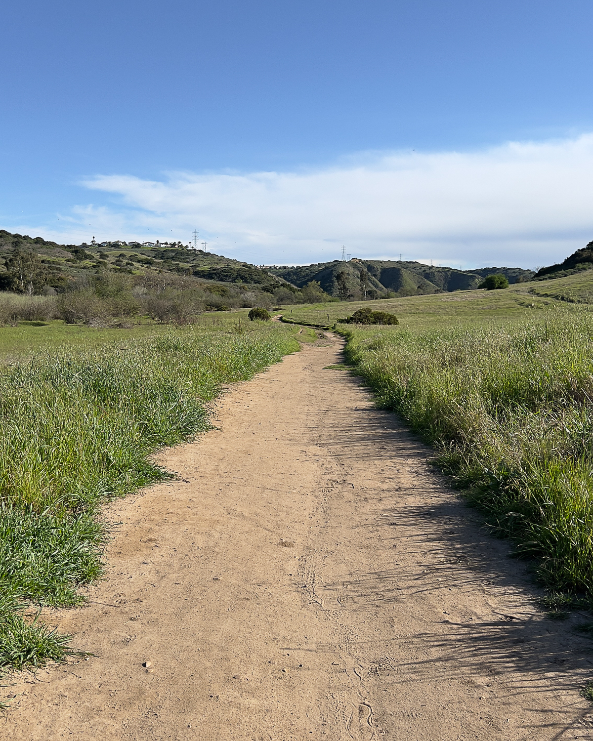Best Scenic Hikes In San Diego For  All Levels